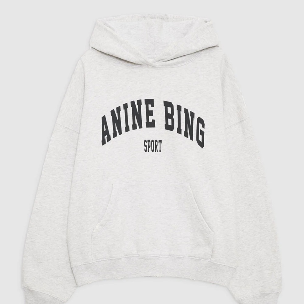 Anine Bing grey sweatshirt